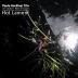 Paul Gardiner - Trio:  Hot Lament