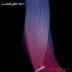 Ladytron:  Light -amp; Magic