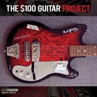 Sixty-Five Guitarists:  On $100 Guitar Project