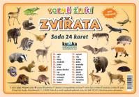 Sada 24 karet - zvířata (volně žijící) A5