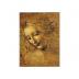 Leonardo da Vinci: Tvář mladé dívky - Puzzle/250 dílků