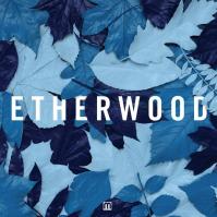 Etherwood:  Blue Leaves