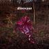 Dinosaur:  Wonder Trail