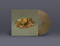 Fergus McCreadie:  Forest Floor