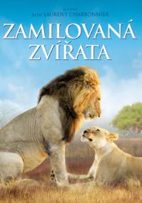 Zamilovaná zvířata - DVD