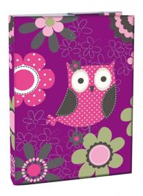 Box na sešity A4 s klopou Owl