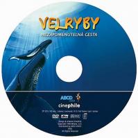 Velryby - DVD