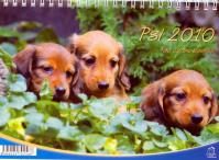 Kalendář 2010 - Psi - stolní (se psím kalendáriem)