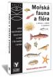 Mořská fauna a flora