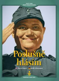 Poslušně hlásím - DVD (digipack)