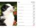 Kalendář 2013 stolní - Psi se jmény psů Praktik, 16,5 x 13 cm