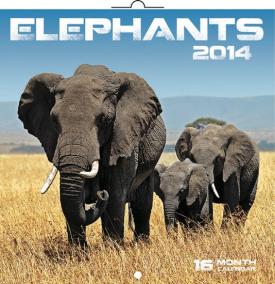 Kalendář 2014 - Sloni - nástěnný poznámkový (ANG, NĚM, FRA, ITA, ŠPA, HOL)