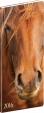 Diář 2016 - Koně - kapesní plánovací měsíční, 8 x 18 cm