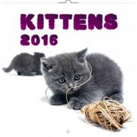 Kalendář nástěnný 2016 - Koťata, poznámkový  30 x 30 cm