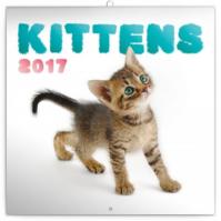 Kalendář poznámkový 2017 - Koťata