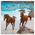 Kalendář poznámkový 2018 - Koně a moře – Christiane Slawik , 30 x 30 cm