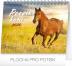 Kalendář stolní 2020 - Poezie koní, 16,5 × 13 cm