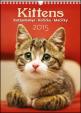 Kittens Kočičky - nástěnný kalendář 2015