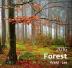 Kalendář nástěnný 2016 - Les - Forest