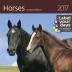 Kalendář nástěnný 2017 - Horses