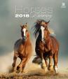 Kalendář nástěnný 2018 - Horses Dreaming/Exclusive