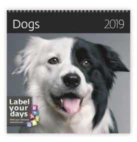 Kalendář nástěnný 2019 - Dogs