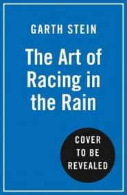 The Art of Racing in the Rain