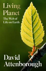 Living Planet : The Web of Life on Earth