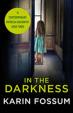 In the Darkness - An Inspector Sejer Novel