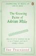 The Growing Pains of Adrian Mole