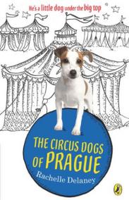 The Circus Dogs of Prague