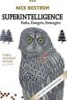 Superintelligence : Paths, Dangers, Strategies