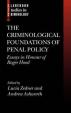 The Criminological Foundations of Penal Policy : Essays in Honour of Roger Hood