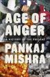 Age of Anger : A History of the Present