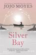 Silver Bay (anglicky)