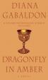 Dragonfly in Amber