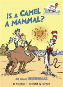 Is a Camel a Mammal? All About Mammals