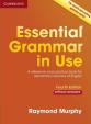 Essential Grammar in Use 4th Edition: Edition without answers