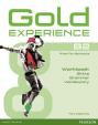 Gold Experience Language and Skills Workbook B2
