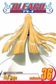 Bleach 26