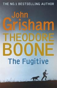 Theodore Boone The Fugitive
