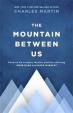 The Mountain Between Us : Soon to be a major motion picture starring Idris Elba and Kate Winslet