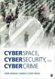 Cyberspace, Cybersecurity, and Cybercrime