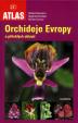 Orchideje Evropy a přilehlých oblastí