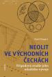 Neolit ve východních Čechách - Případová