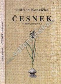 Česnek (Allium sativum L.)