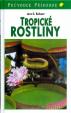 Tropické rostliny