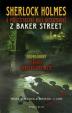Záhada zhmotnělého muže -S. Holmes a příležitostní malí detektivové z Baker Street 2