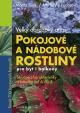 Pokojové a nádobové rostliny pro byt i balkony