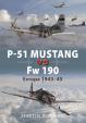 P-51 Mustang vs FW 190
